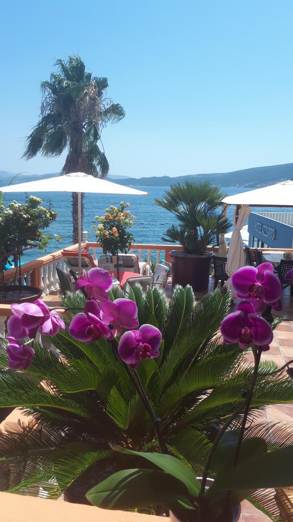 Apartmani Kalinic Bijela Dış mekan fotoğraf